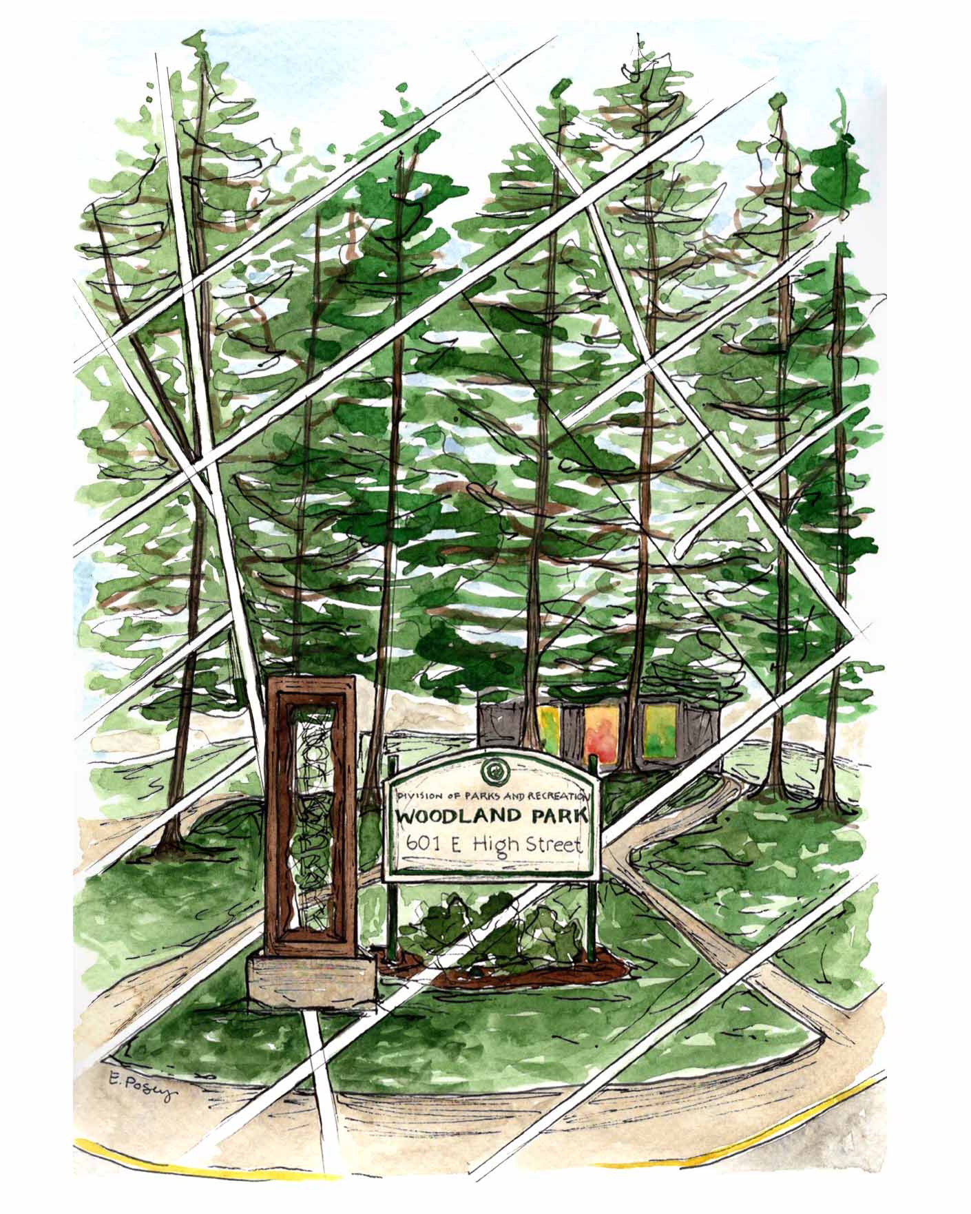 Woodland Park | Fine Art Print