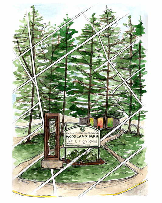 Woodland Park | Fine Art Print