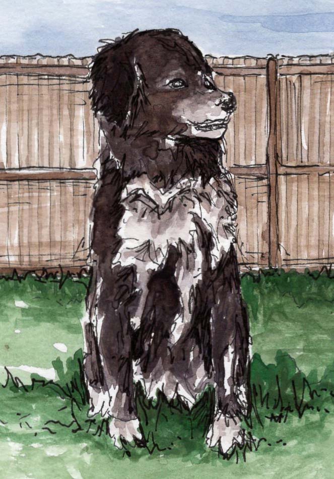 Custom Pet Portrait Request | Fall 2025