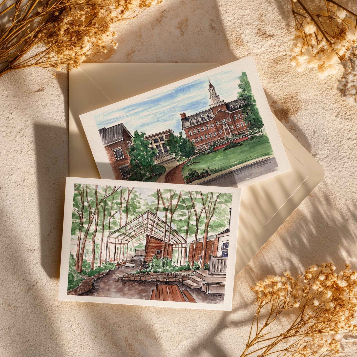 Greeting Cards | Set of 3 | Familiar Frames
