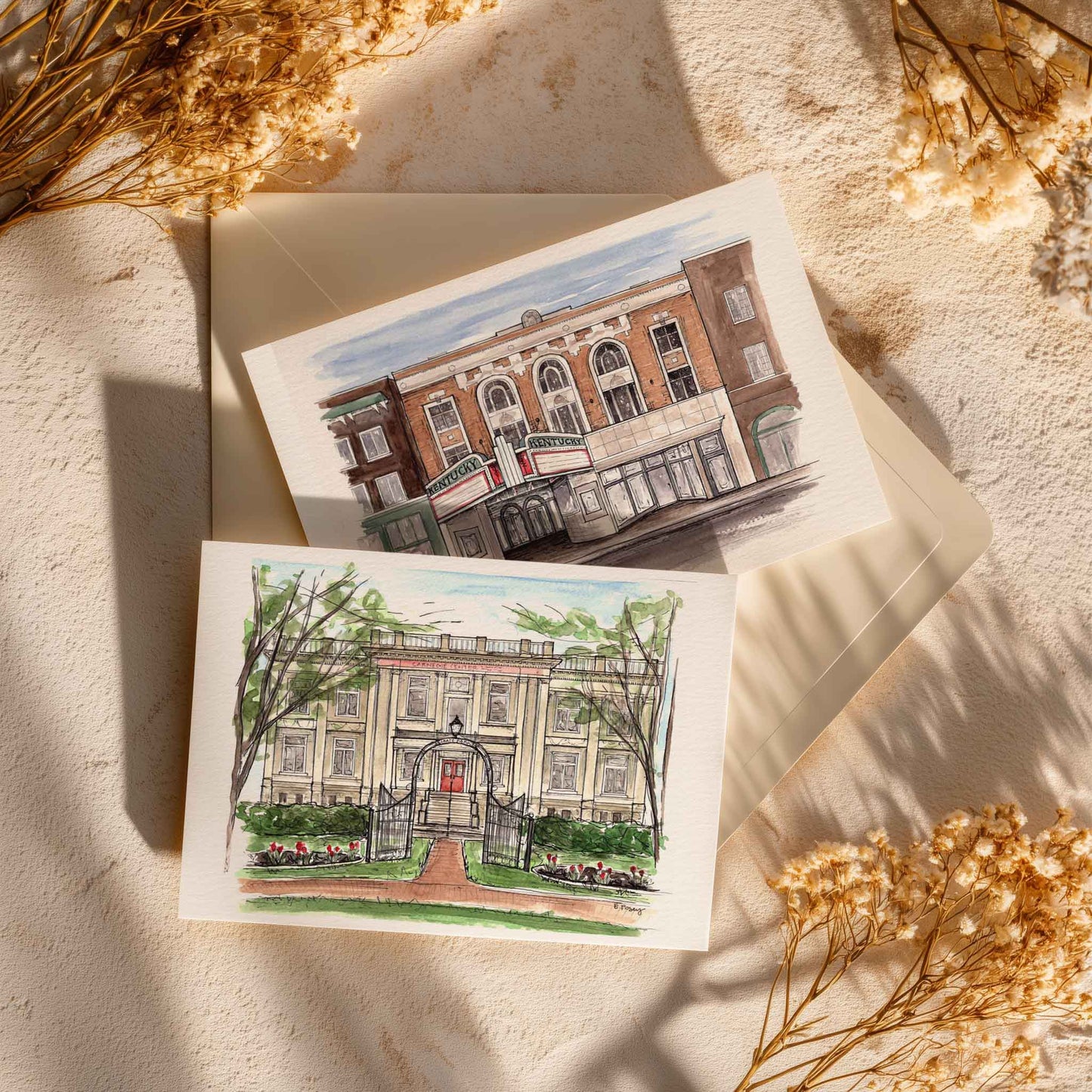 Greeting Cards | Set of 3 | Familiar Frames