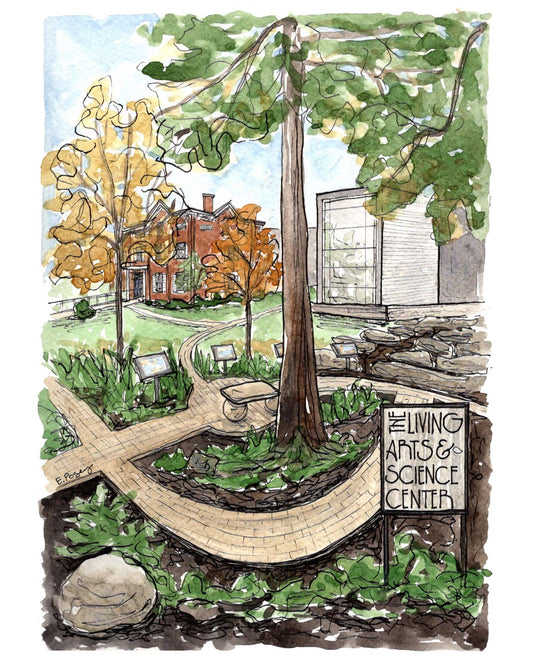 Living Arts | Fine Art Print
