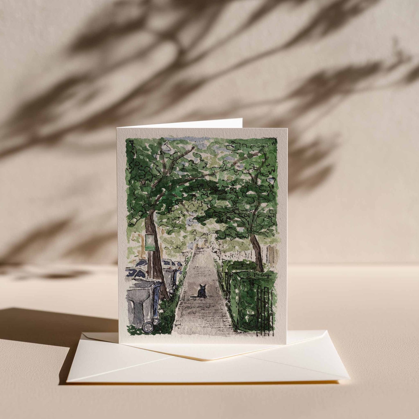 Greeting Cards | Set of 3 | Familiar Frames