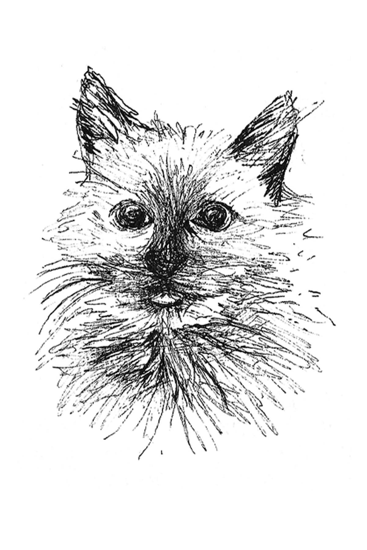 Custom Pet Portrait Request | Fall 2025