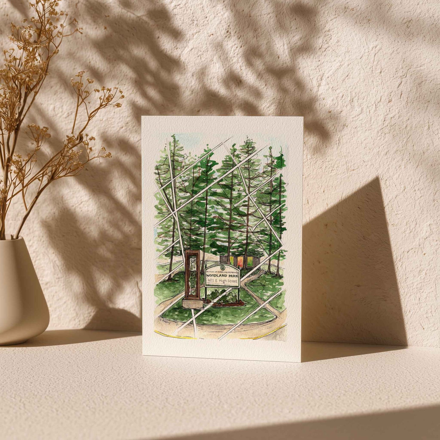 Greeting Cards | Set of 3 | Familiar Frames